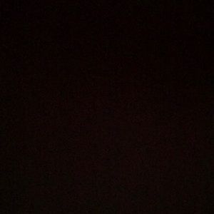 Meet your Posher, Lonnie